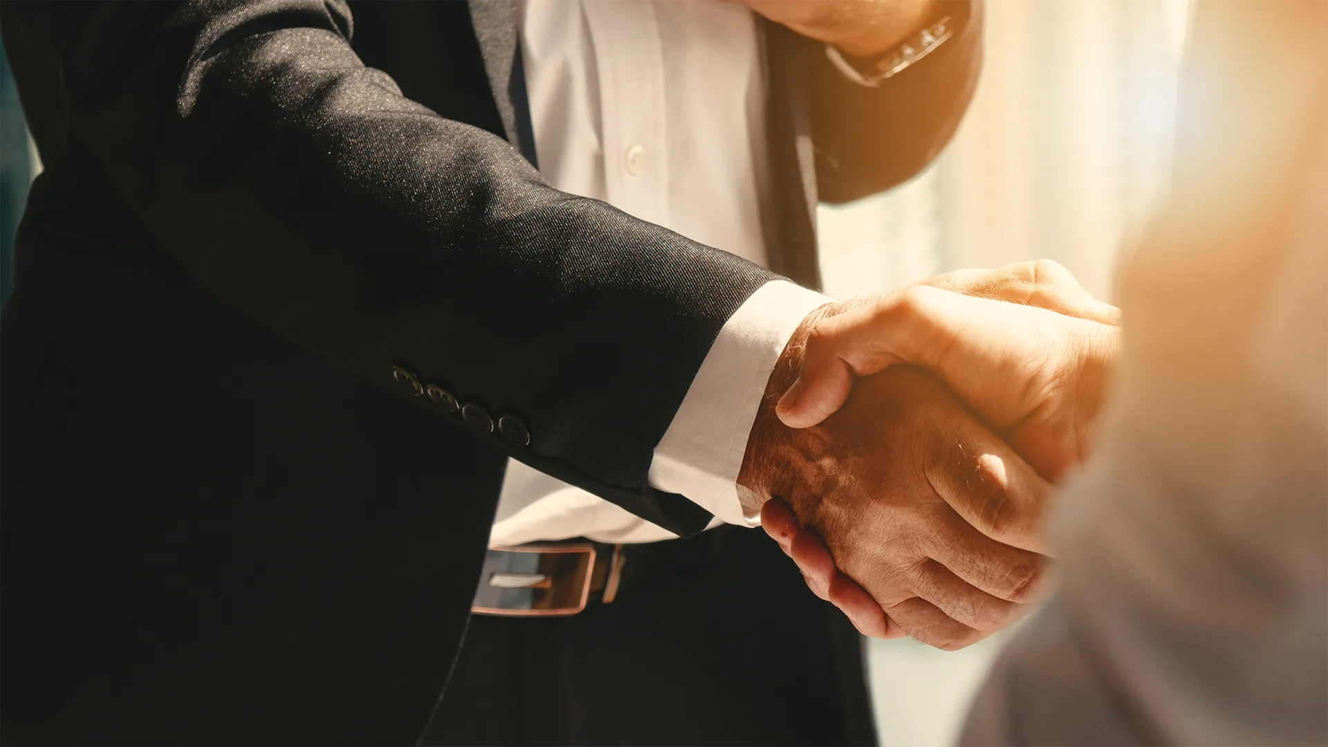 Close up handshake image